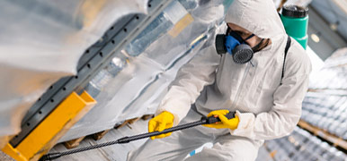 disinfestazioni viterbo