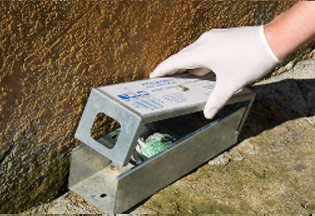 Biosystem Gallery Biosystem Mezzi