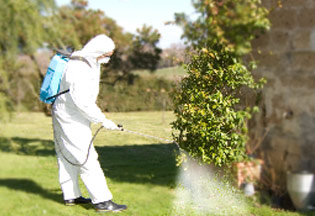 Biosystem Gallery Biosystem Mezzi