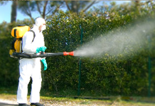 Biosystem Gallery Biosystem Mezzi