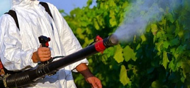 sanificazioni viterbo